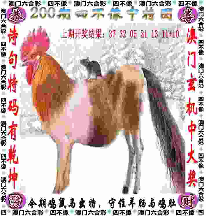 澳门管家婆一特一中招生完整版下载安装-澳门管家婆100准确app下载v1   .13   .923   -2278安卓网